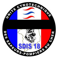 logo ARTICLE 78