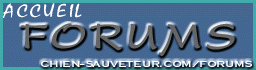 Forums Chien-Sauveteur.com Index du Forum
