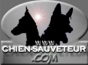 www.chien-sauveteur.com
