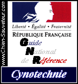 logo ARTICLE 51